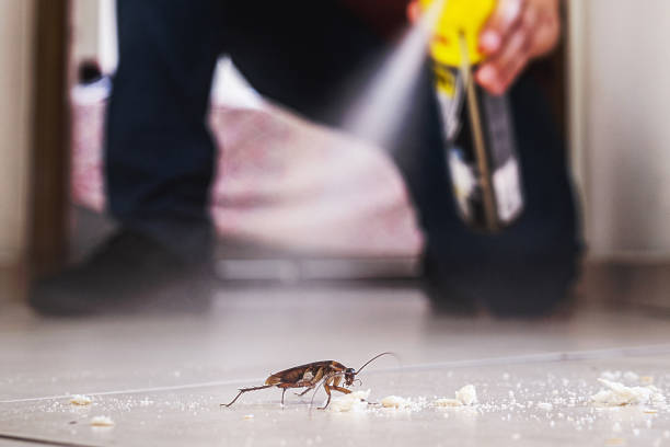 Best Pest Prevention Services  in Cedar Mill, OR